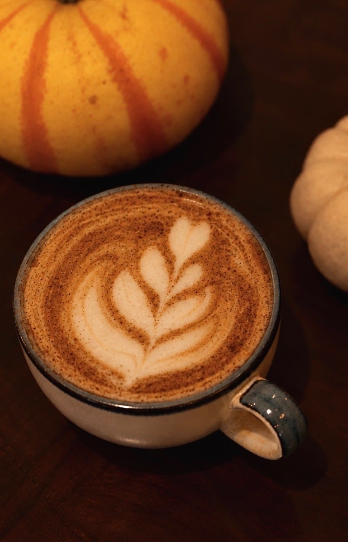 House Harvest Latte with leaf latte art and cinnamon, beside two small pumpkins